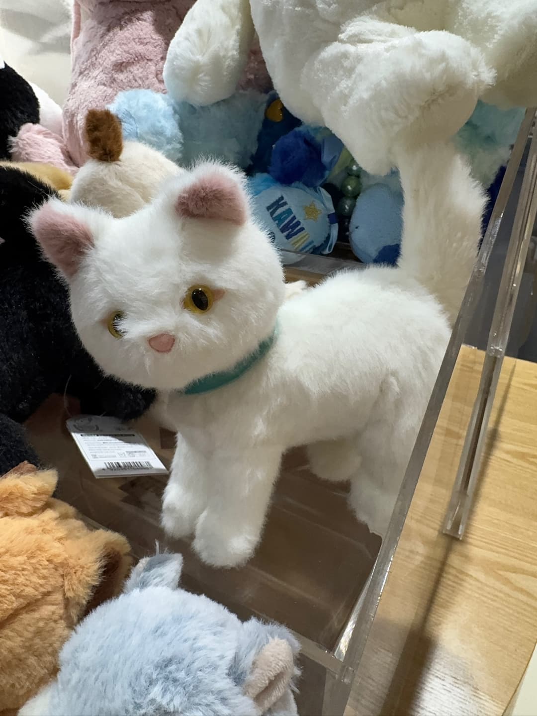 이보라